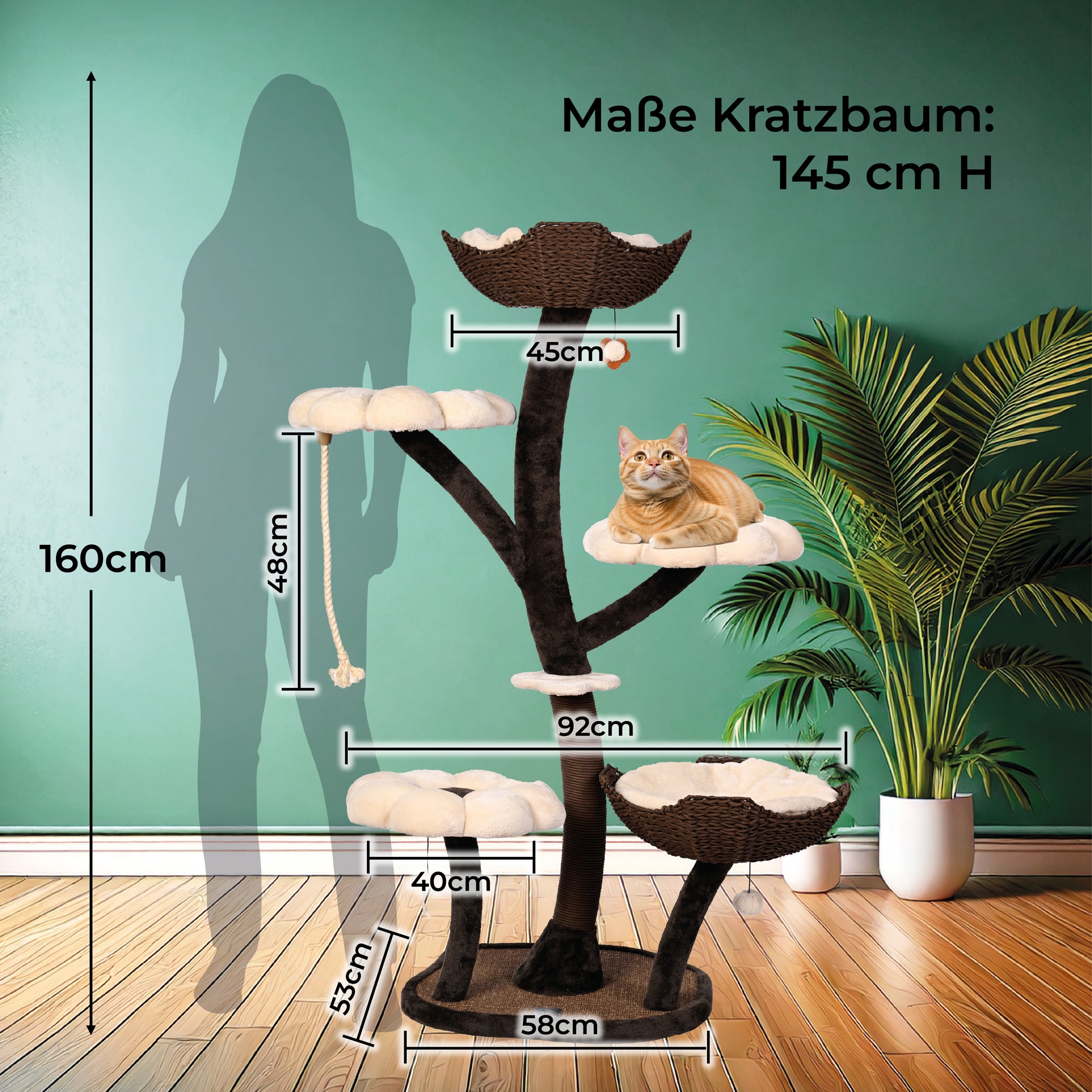 liegende Katze auf Kratzbaum mit Maßen