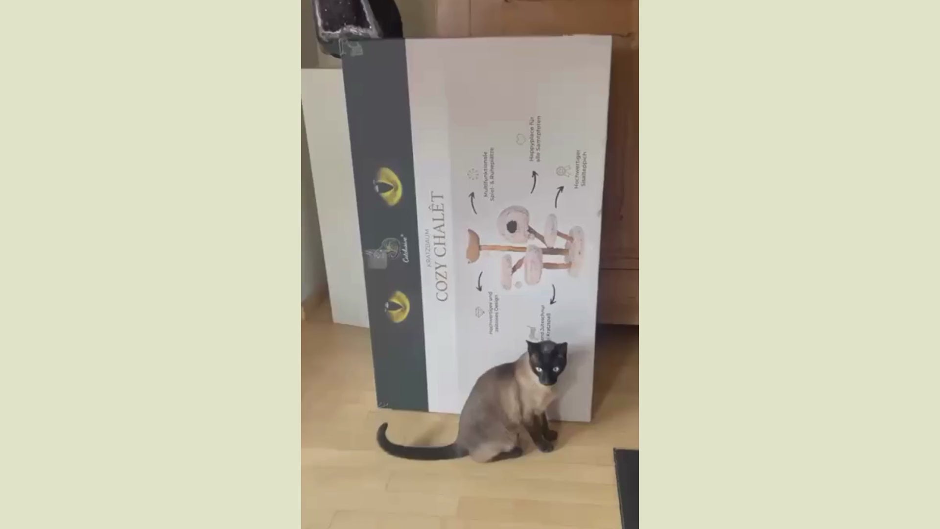 Video laden: Aufbau Video Kratzbaum Cozy Chalêt