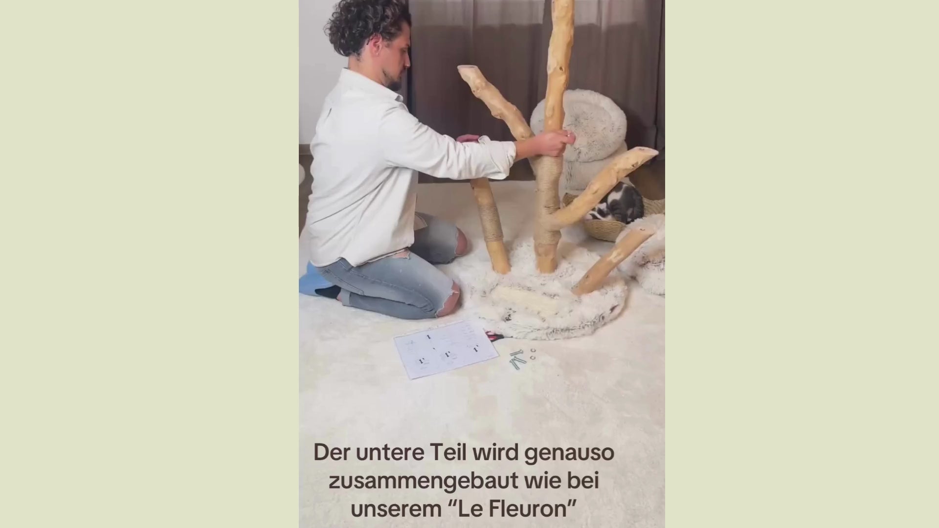 Video laden: Aufbauvideo Kratzbaum, Aufbauvideo Katzenbaum, Aufbauvideo Person baut Kratzbaum auf, Video Mensch baut Katzenbaum auf, Aufbauhilfe, Katze und Person beim Aufbau vom Kratzbaum, Katze und Person beim Aufbau vom Katzenbaum 