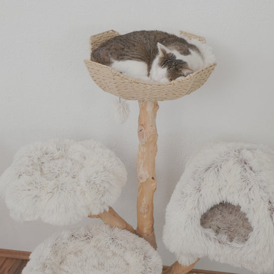 Produktvideo vom Kratzbaum Cozy Chalêt