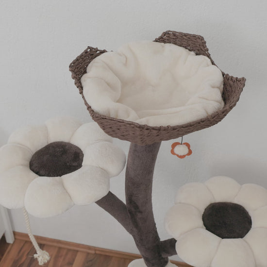 Produktvideo vom Kratzbaum Le Fleuron