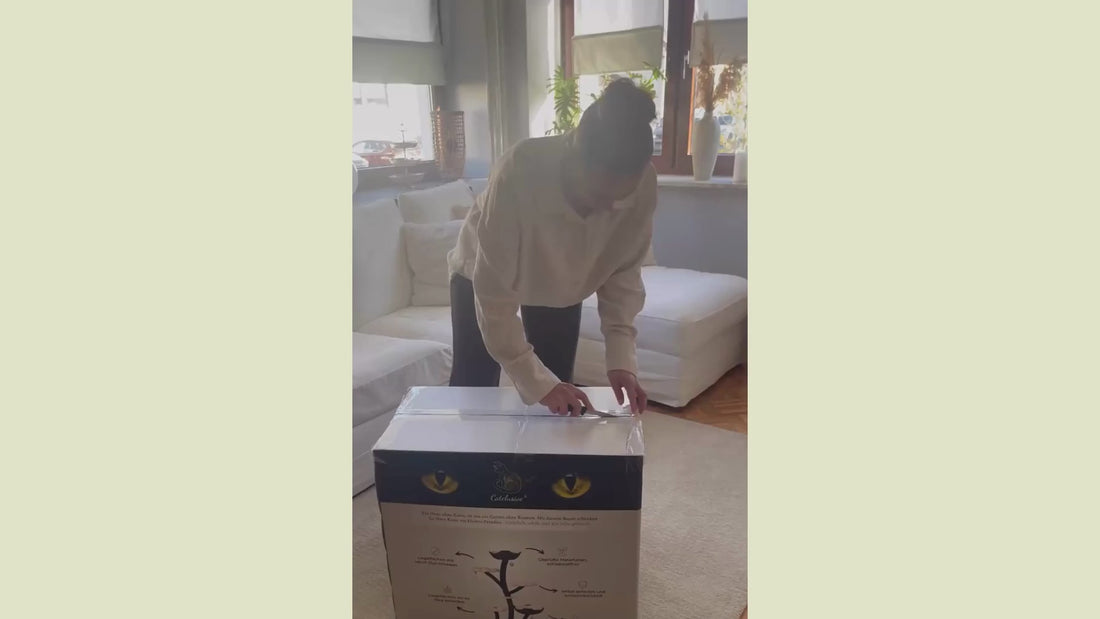 Aufbau Video Kratzbaum Le Fleuron mit Katze